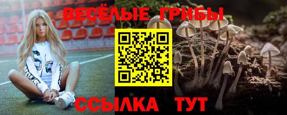 Галлюциногенные грибы Cubensis Будённовск