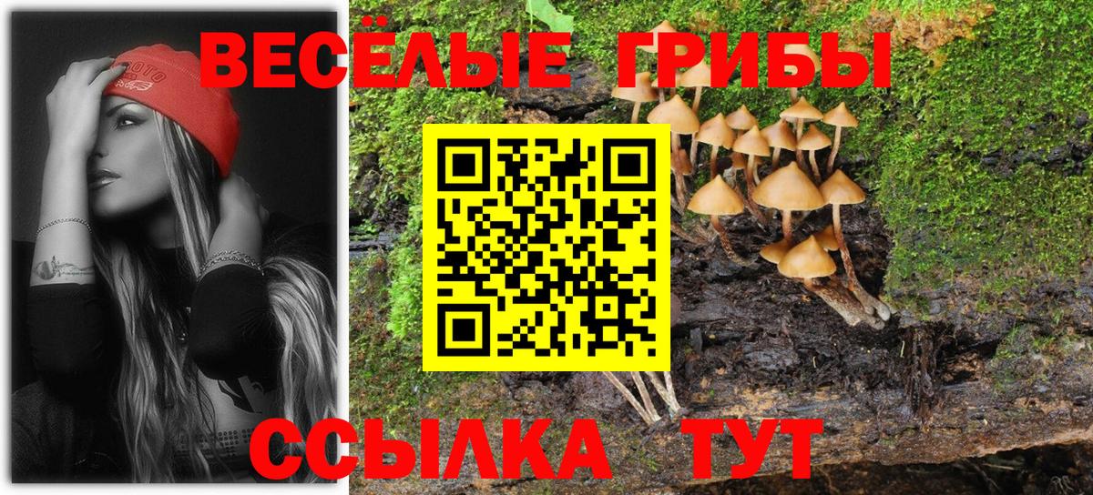 Бошки Шишки Будённовск